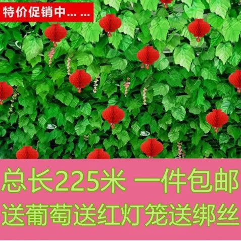 彷真水果藤条塑料拉花悬吊式天花板室内装饰五彩葫芦叶挂饰装饰品