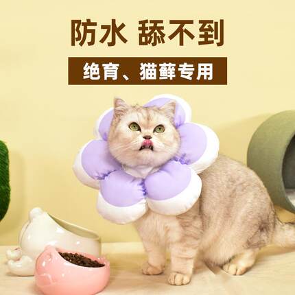 猫咪软脖套可吃饭太阳花绝育项圈防舔头套超轻防抓猫用伊丽莎白圈