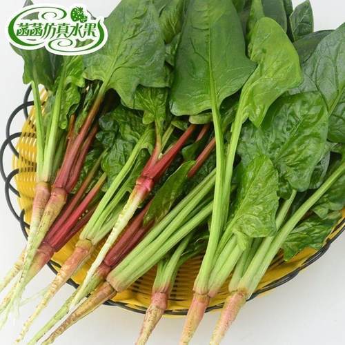 仿真菠菜 假菠菜 假水果蔬菜模型舞台农家乐布景摆设表演道具教具