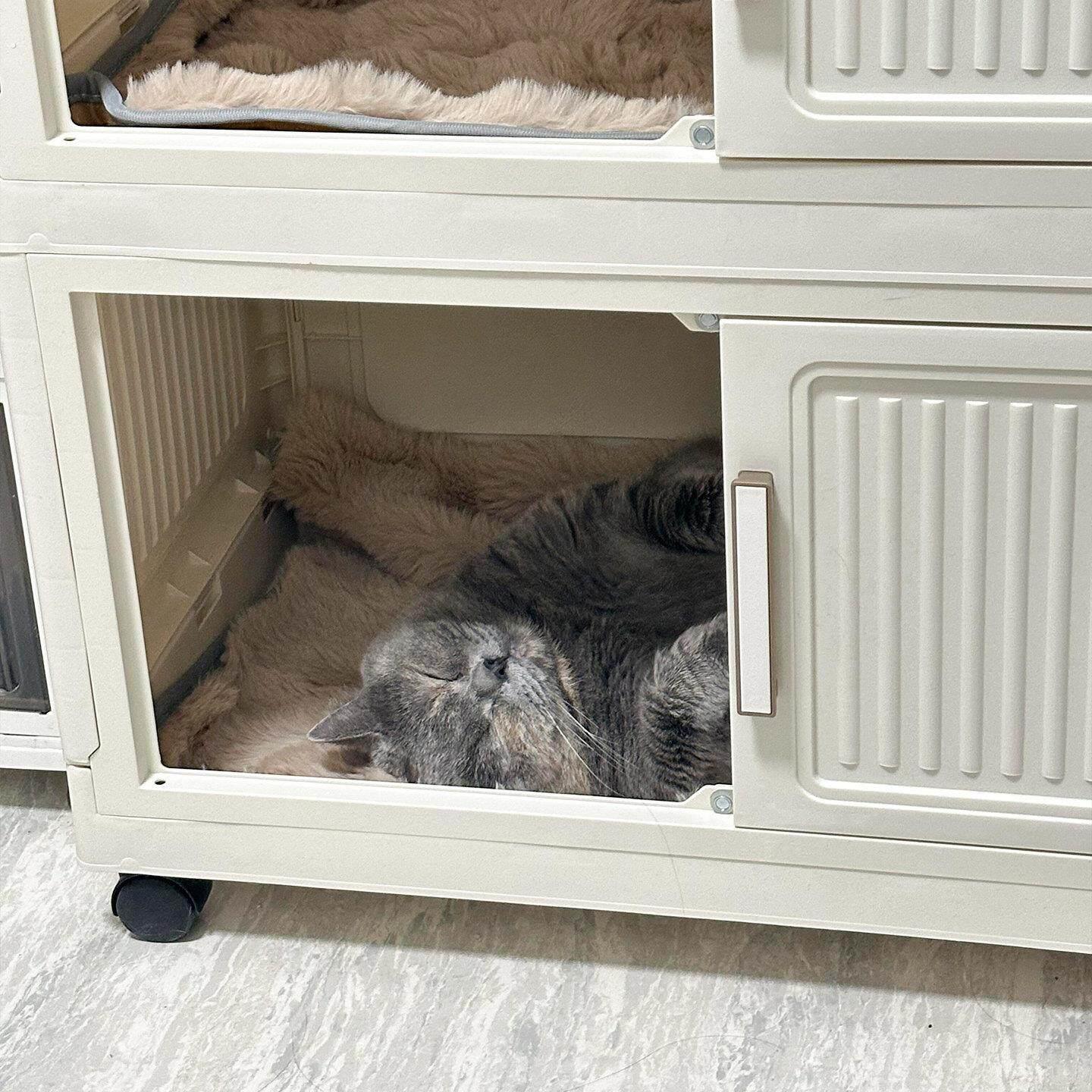 可折叠猫窝四季通用半封闭上下两层猫别墅家用双层猫笼收纳箱猫屋