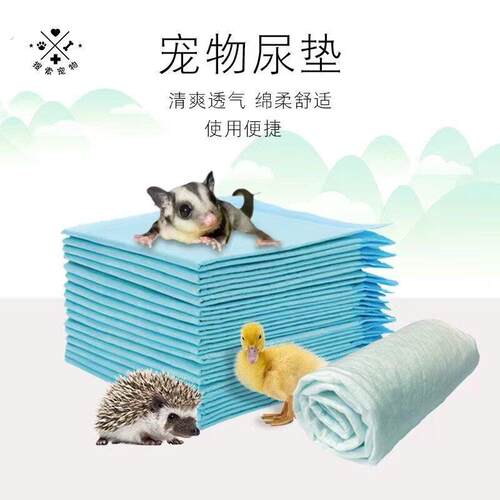 蜜袋鼯尿垫除臭仓鼠宠物一次性尿片加厚防漏狗狗吸水防尿垫尿不湿