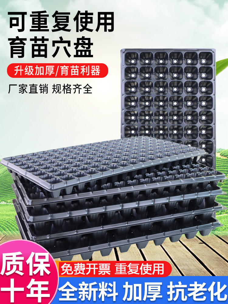 育苗盘穴盘育苗盆育苗盒营养钵营养杯育苗器专用培育箱