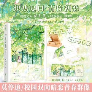 借夏天来临的名义 莫停追著 校园双向暗恋青春群像甜文小说实体书