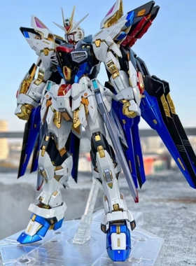 高达拼装模型HG强袭自由命运能天使红异端独角兽元祖机甲手办玩具
