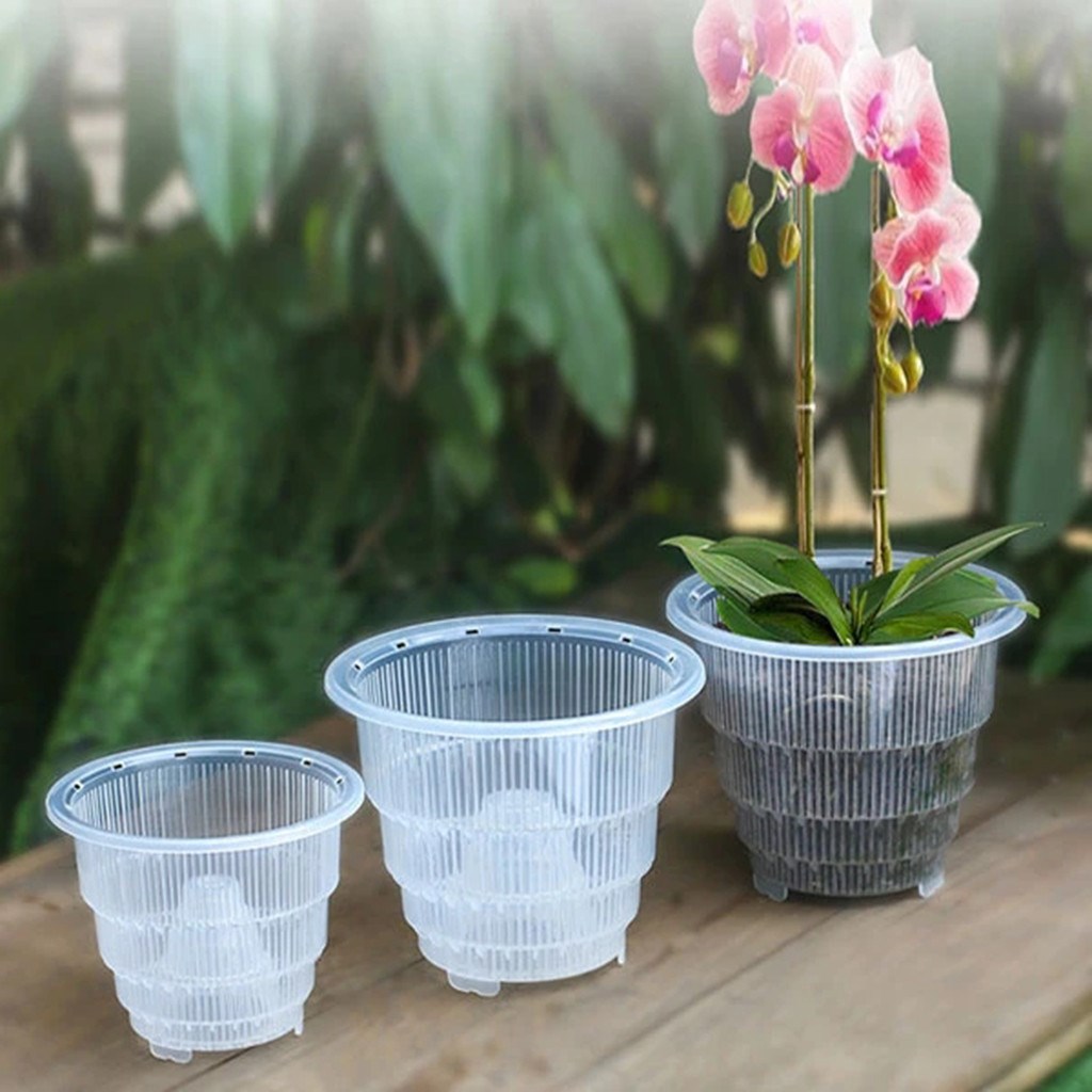 Orchid-Pots Planter Slotted Flower Clear Nursery-Garden Plas
