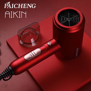 Paicheng Mini Hair Dryer For Family 1800W Blow Dryer White/R