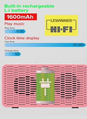 Lewinner BT506F Bluetooth Speaker Super Bass Wireless Stereo