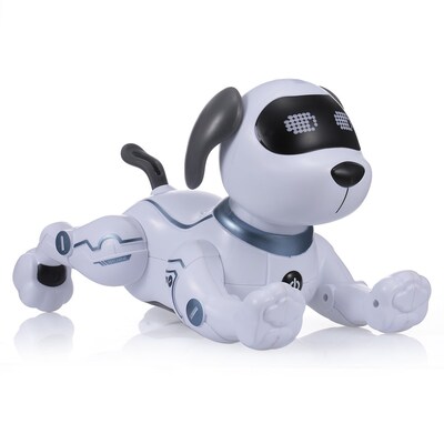 RC Robot TOYS Electronic Pets Robot Dog with Battery Dance V