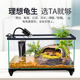 超白玻璃家用乌龟缸小别墅饲养箱带晒台生态鱼缸造景养乌龟专用缸