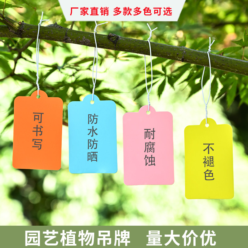 吊牌植物标牌树木记号牌分类色卡塑料防水耐晒不褪色花卉圆角物流加厚记录标识藤植挂牌塑料手写标签空白卡片