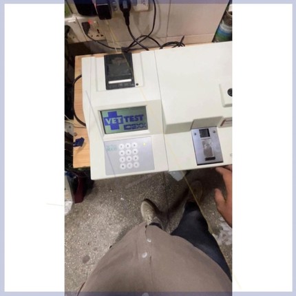 【议价】爱德士IDEXX生化vt8008