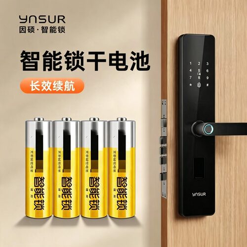因硕碱性AA五号干电池适用指纹锁电子锁智能门锁5号 4节
