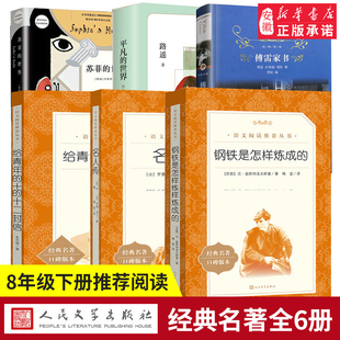 8下 常谈 名人传 经典 世界 苏菲 钢铁是怎样炼成 平凡