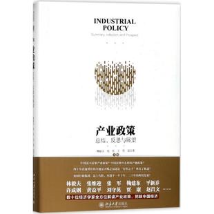 反思与展望 产业政策：总结