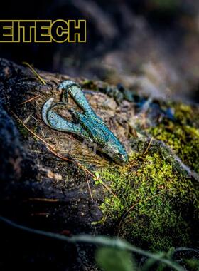 日本进口K牌Keitech路亚软饵Noisy Flapper浮水雷蛙打黑鱼假鱼饵