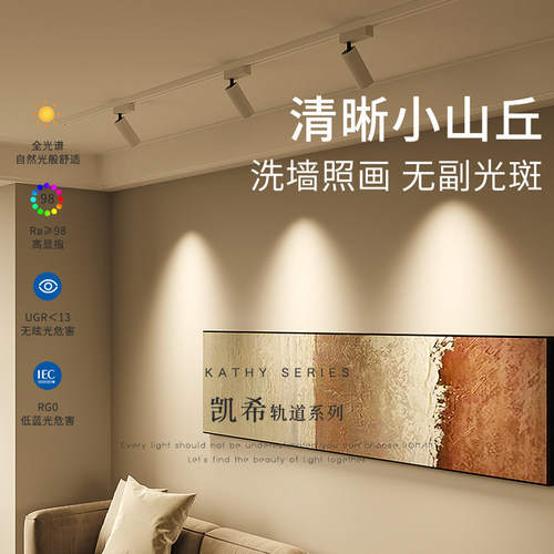 家用COB小山区无副光斑轨道射灯
