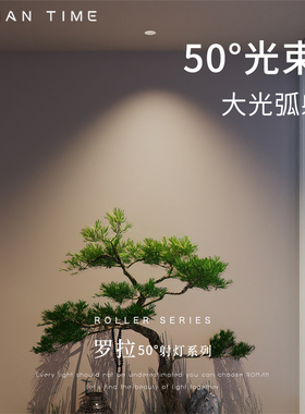 防眩护眼50°射灯嵌入式RG0全光谱智能调光LED家用冷锻暗装大角度