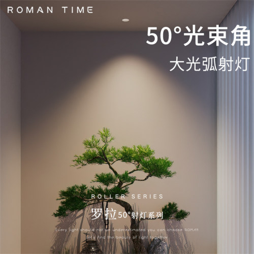 防眩射灯50°大角度RG0