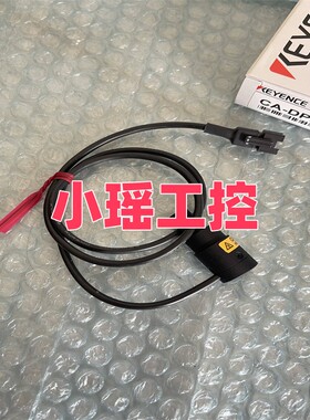 基恩士 CA-DPW2 CA-DP3R CA-DLR10 光源 CA-DPR2 CA-DPU2 CA-DP5R