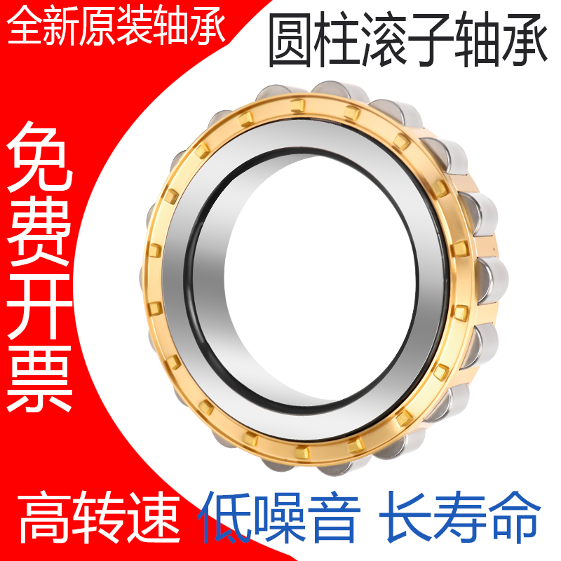 洛阳轴承RN 204 205 206 207 306 307 308 309 310 311 218 219 M