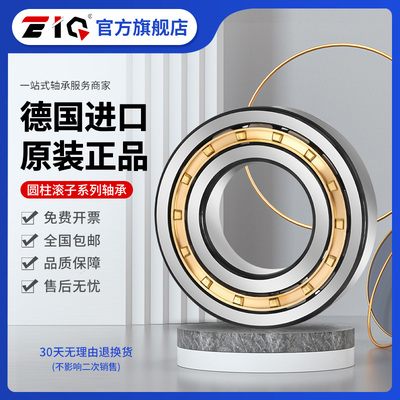进口EIQ轴承20304 20305 20306 20307 20308 20309-K-TVP-C3-MB