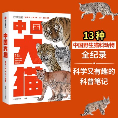 中国大猫 13种中国野生猫科动物全纪录 虎雪豹云豹金猫云猫猞猁豹猫渔猫兔狲野猫荒漠猫丛林猫 中国科研野保人亲历荒野的保护故事