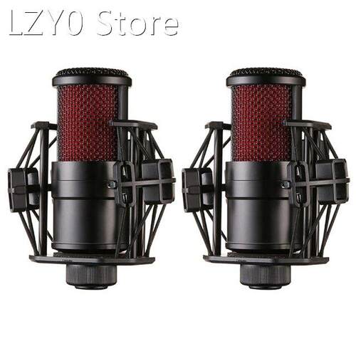 2X V500 Microphone Kit With Audio Cable Shockproof Clip Live