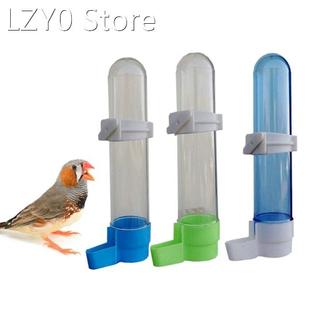 2021 New Pet Bird Plastic Auto Feeder Parrot Cockatiel Feedi