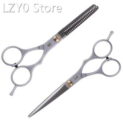 2x Professionnel Coupe De Cheveux Ciseaux A Effiler Cisaille