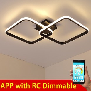 2020 design LED Ceiling Light  Living room Dining Bedroom lu