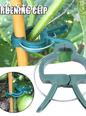 Reusable Garden Plant Support Clips Multifunctional Gardenin