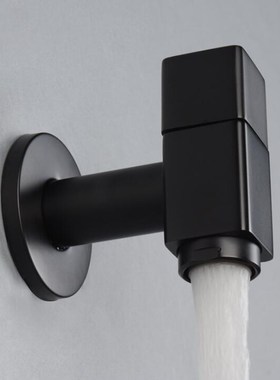 Bathroom accessory Common Black mop pool faucet with extende
