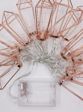 10 LED LED Lights Festival Decoration Christmas Wedding outd