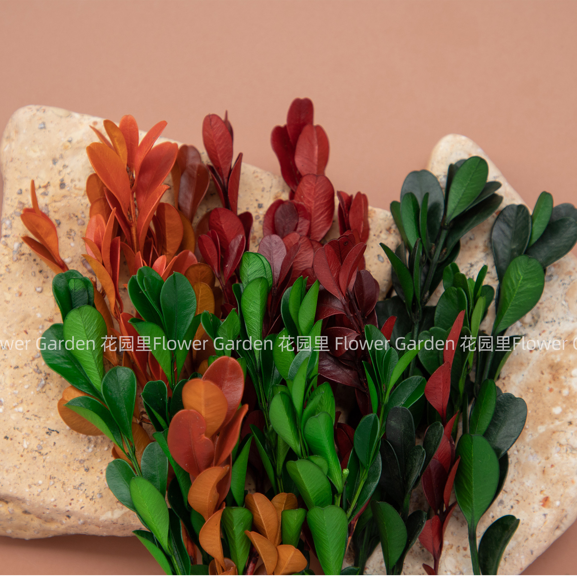 永生真花植物黄杨叶diy手工材料