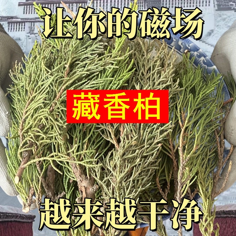 正宗西藏藏香柏枝叶净宅养水晶养文玩煨桑烟天然藏香供火柏香枝