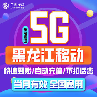 不可提速 黑龙江移动流量充值 月包5GB 当月有效 限速勿拍ZC