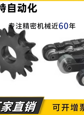 平片单排链轮15B03C25B06C08A08B10A12A链条双节距