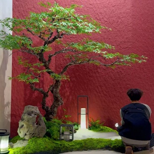 彷真枫树鸡爪槭装饰绿植物大型商场室内造景枯树软装景观茶室套装