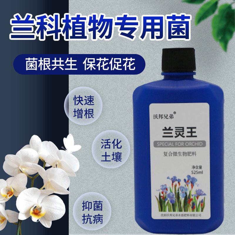 兰灵王兰花专用营养液促花蝴蝶兰兰科活化剂兰菌王兰陵王生根肥料
