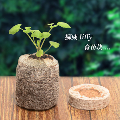 挪威育苗块进口椰糠泥碳木质素