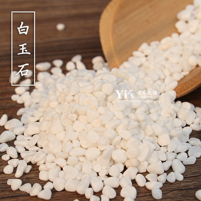 多肉苔藓景观组盆拼盘白石5-10mm