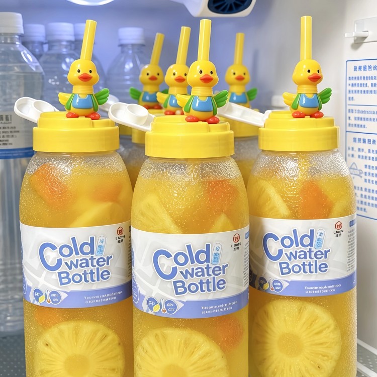 冰箱用冷水壶家用吸管杯夏天大容量食品级凉水壶冷泡茶瓶子随手杯