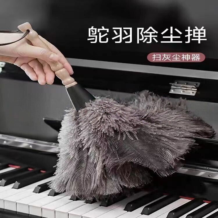 鸡毛掸子家用打扫卫生不