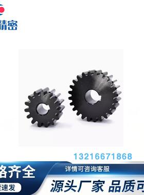 VNR43-3.0-42-B30-A-P20N P25 P30N P35 P40 P45N P50N直齿轮