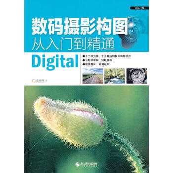 数码摄影构图从入门到精通属于什么档次？