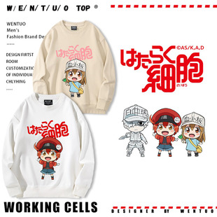 工作细胞动漫血小板周边二次元圆领卫衣男女秋冬加绒宽松休闲百搭