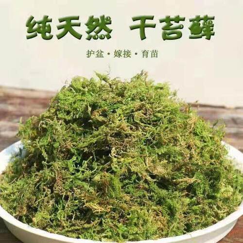 兰花专用优质干苔藓水苔