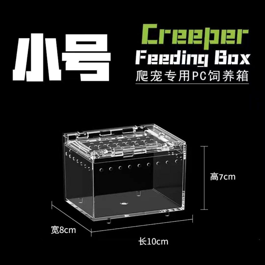 PC塑料爬宠守宫蜥蜴小号饲养箱生态沙漠造景宠物蛇树栖角蛙水陆缸