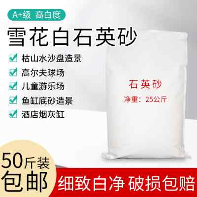 石英砂颗粒细沙白色灭烟沙酒店烟灰缸专用垃圾桶鱼缸造景纯白沙子
