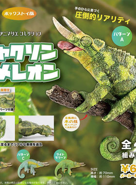 现货 日本SO-TA 变色龙拼装仿真爬虫蜥蜴模型玩具摆件盒蛋扭蛋
